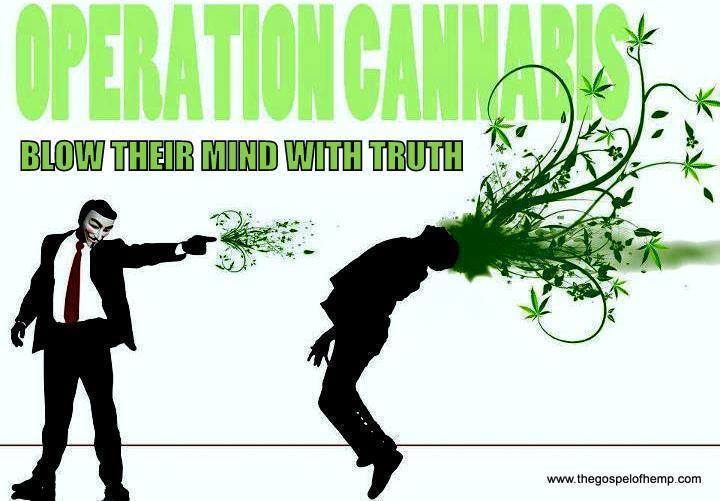 »Operation Cannabis — blow their mind with truth.« Tako se počutim, ko skupaj zbirava te koščke zgodovine, ki jih ni v učbenikih.